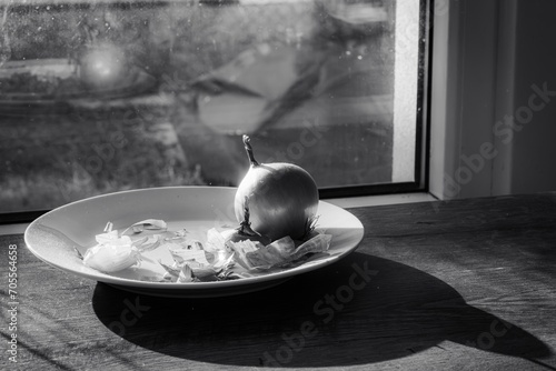 Onion