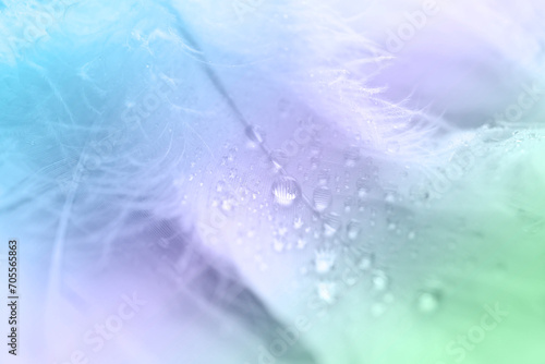 Fluffy feathers with water drops as background, closeup. Color toned