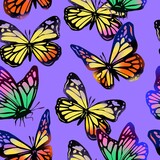 Colorful bright Butterflies. Beautiful nature flying insects. Butterfly silhouettes. Gradient colors. Hand drawn modern illustration. Square seamless Pattern. Background, wallpaper template