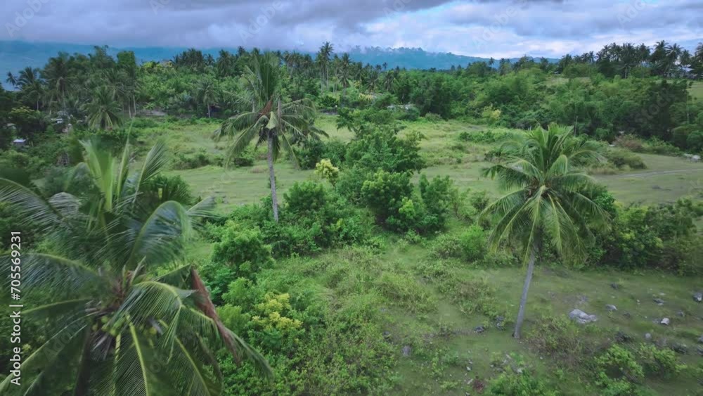 The Green Jungle Of Cebu Island In The Philippines, Aerial View The Green Jungle Of Cebu Island In The Philippines, Aerial View