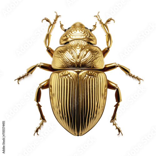Golden Scarab beetle © andrew_shots
