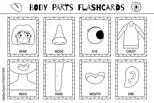 Body parts flashcards black and white collection. Flash cards for coloring. Learn vocabulary for school and preschool. Head, nose, eye and more. Vector illustration