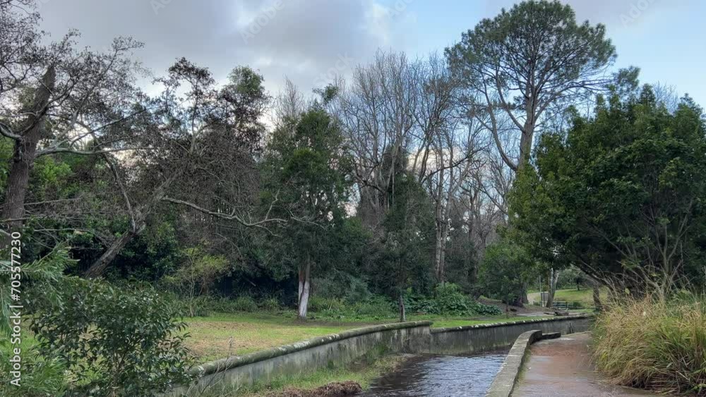Flowing concrete river canal flowing through a shaded park by big green trees Flowing concrete river canal flowing through a shaded park by big green trees