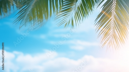 coconut tree at tropical coast on blue sky background with copy space