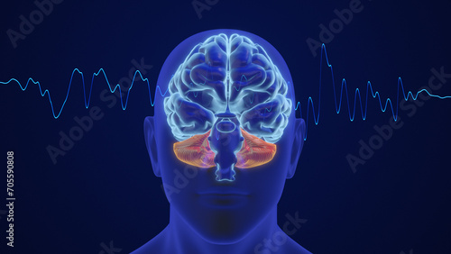 3D animation of the human brain intelligence and thinking with waves	 photo