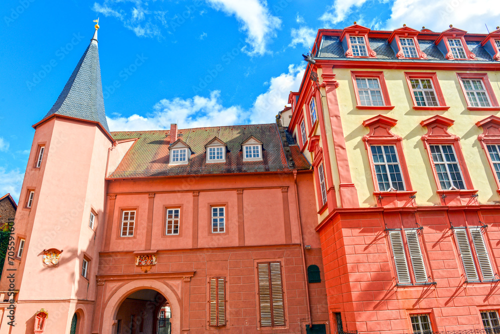 Schloss Erbach (Odenwald) Schloss Erbach (Odenwald)