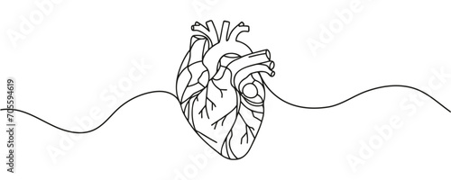 human heart drawn with a line. Vector illustration.