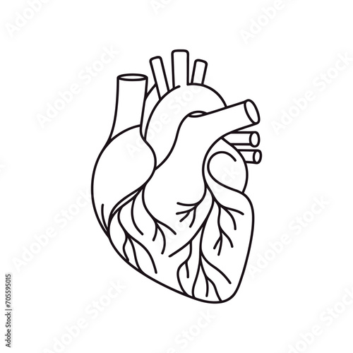 human heart drawn with a line. Vector illustration.