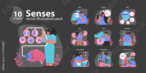Senses set. Human sensory organs and functions. Interaction of smell, taste, touch, vision, hearing, and balance. Central nervous system connection. Flat vector illustration.