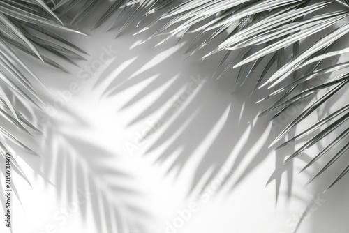 Grey shadow of natural palm leaf abstract background falling on white wall texture for background and wallpaper. Tropical palm leaves foliage shadow overlay effect, foliage mockup and design