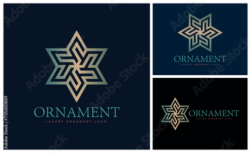 hexagram stars ornament gold luxury modern logo template design for brand or company and other