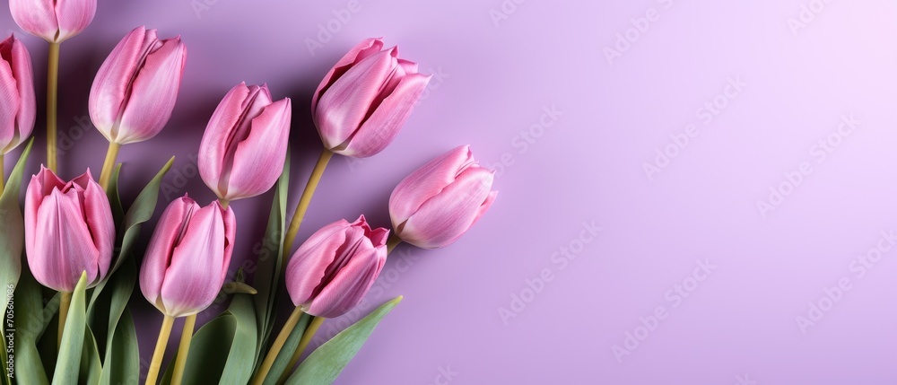 Naklejka premium Purple tulips in a isolated pastel background Copy space