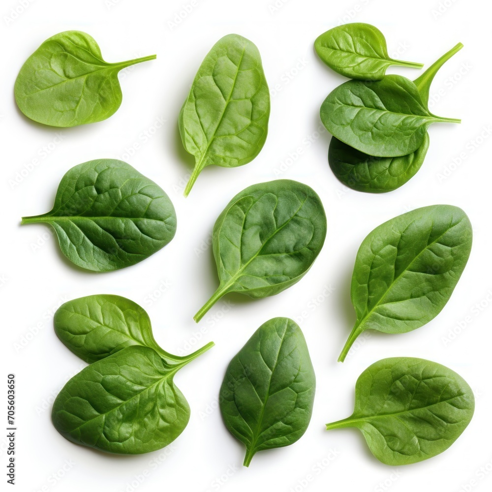 Fototapeta premium Collage with fresh baby spinach leaves on white background, top view