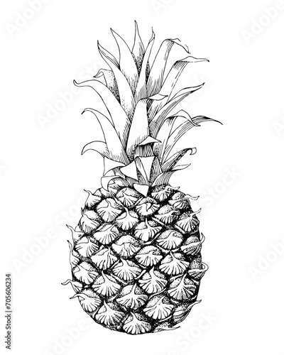 Hand drawn monochrome pineapple fruit