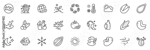 Icons pack as World weather, Sleep and Pillow line icons for app include Vegetables cart, Sunny weather, Organic tested outline thin icon web set. Water bottle, Juice, Pumpkin seed pictogram. Vector