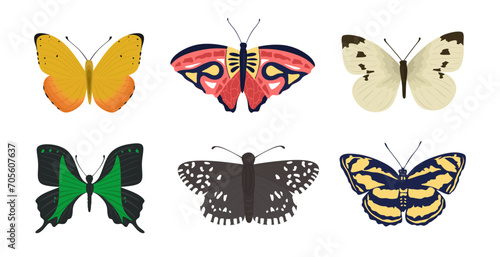 Set of exotic flying butterflies with colorful beautiful wings. Collection of lovely colorful insects with antenna isolated on white background. Gorgeous exotic pretty moth group, top view.Flat vector