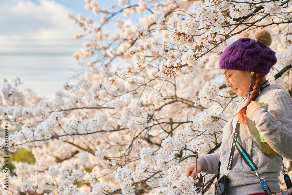 春の夕陽に照らされた桜とリラックスした表情の女性