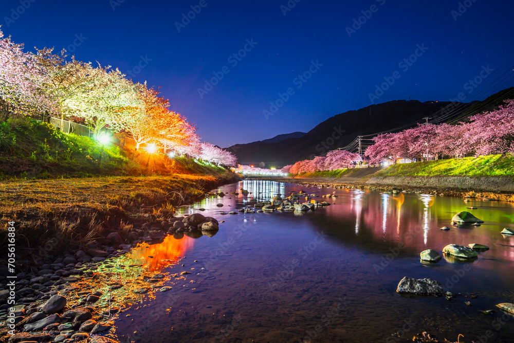 河津町の夜景 河津川沿いのライトアップされた美しい河津桜【静岡県】
Night view of Kawazu Town in spring. Beautiful Kawazu cherry blossoms lit up along the Kawazu River - Shizuoka, Japan 河津町の夜景 河津川沿いのライトアップされた美しい河津桜【静岡県】
Night view of Kawazu Town in spring. Beautiful Kawazu cherry blossoms lit up along the Kawazu River - Shizuoka, Japan