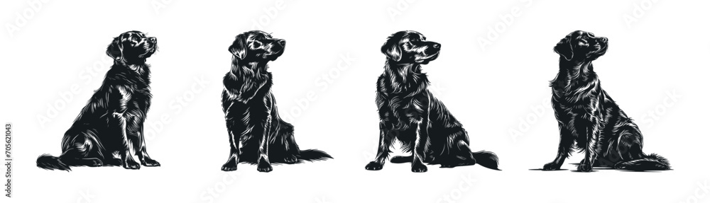Set of four golden retriever dogs, hand drawn silhouette. Vector illustration Set of four golden retriever dogs, hand drawn silhouette. Vector illustration