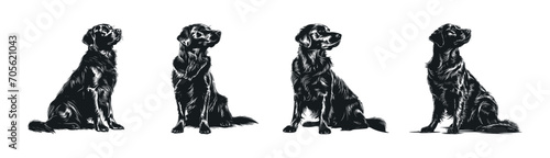 Set of four golden retriever dogs, hand drawn silhouette. Vector illustration