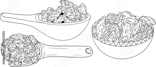 Hand drawn Goji berries. Engraving vector illustration isolated on white background. Superfood berry element for label, poster, coloring pages