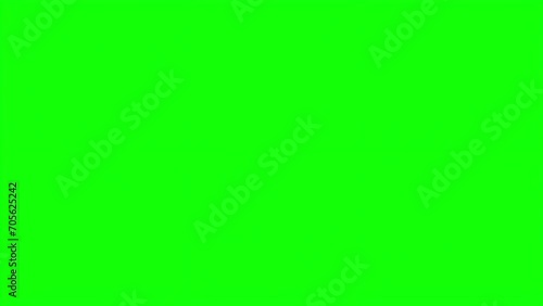 White, Cartoon-Style Angel Wing on Green Background