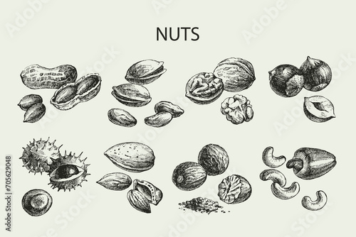 Hand drawn sketch nut set. Vintage vector illustration