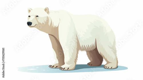 Polar Bear illustration vector