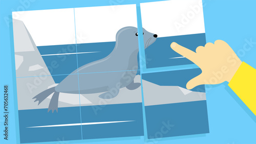 Vector illustration of a penguin in the pool  a hand points to the seal.