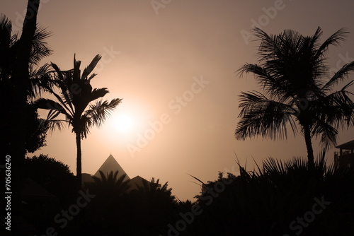 sunset in the palm