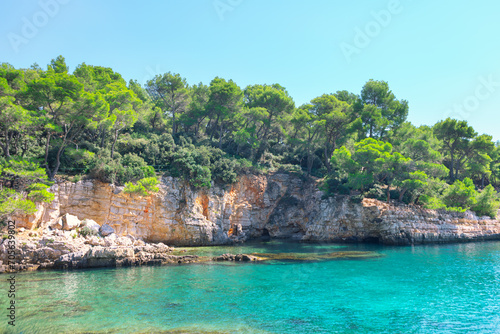 Fototapeta Naklejka Na Ścianę i Meble -  Tropical beach adorned with a rocky coast and sea with turquoise like in paradise