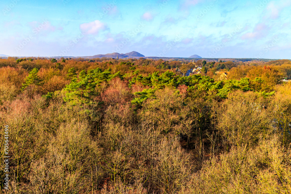 Autumn landscape in aerial view of treetops in Hoge Kempen National Park, mountains against blue sky in background, golden orange yellow and green foliage, sunny autumn day in As, Limburg, Belgium
