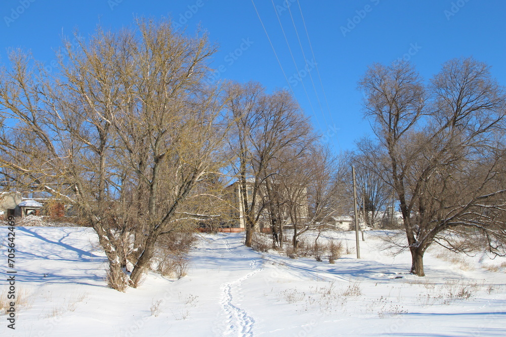 Obraz premium A snowy landscape with trees and a blue sky