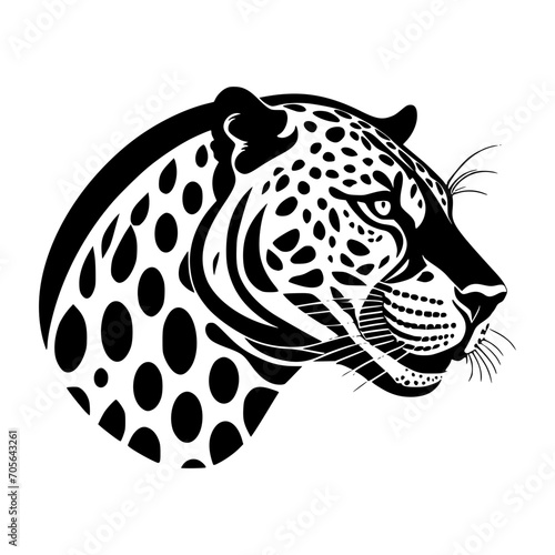 leopard head isolated on white