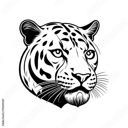 Jaguar Vector Illustration