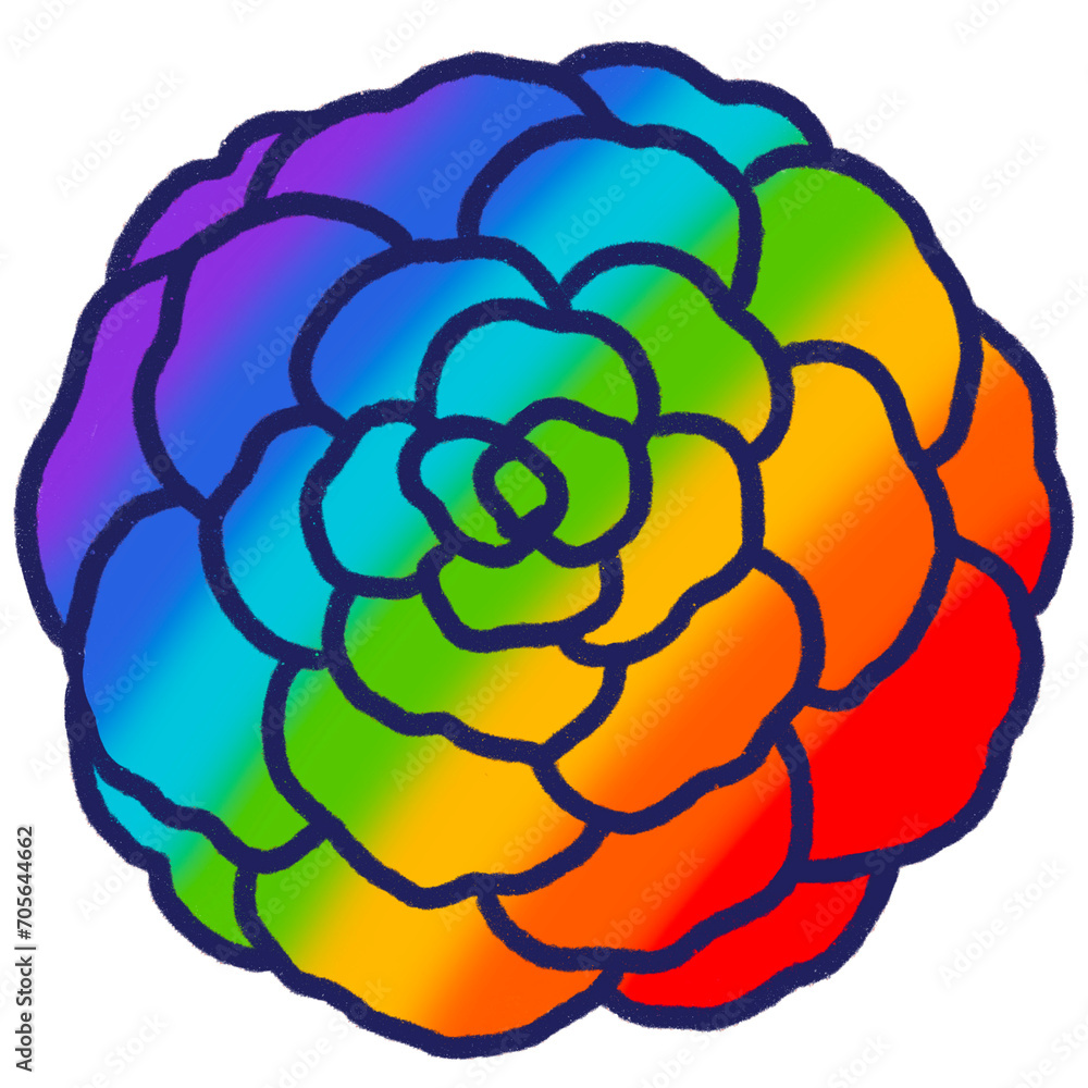 Rainbow rose flower. Rainbow rose flower.