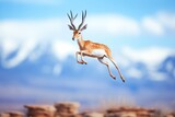 gazelle leaping with mountain backdrop