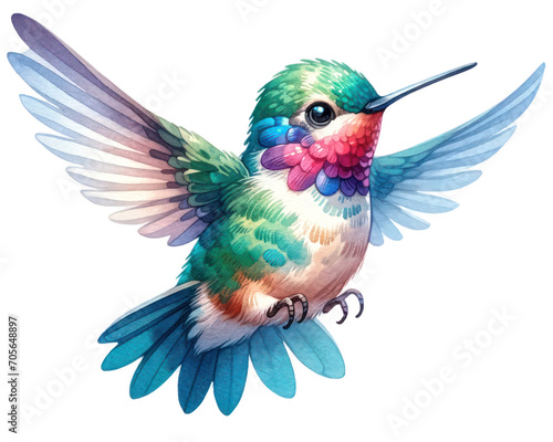watercolor cute Hummingbird isolated on transparent background.