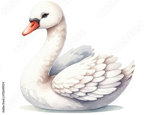 Fototapeta Naklejka Na Ścianę i Meble -  watercolor cute Swan isolated on transparent background