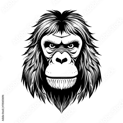 Orangutan Vector Illustration photo