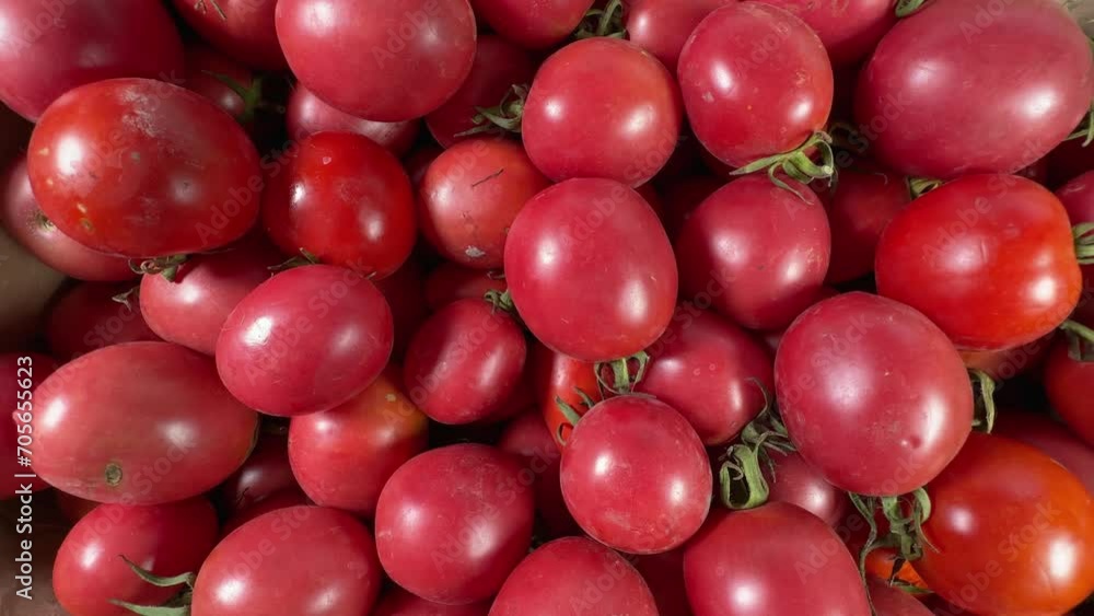 Freshly harvested pink and red tomatoes in box, top view Freshly harvested pink and red tomatoes in box, top view