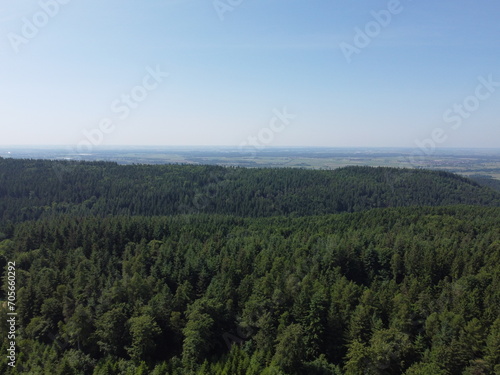 Aerial view of the forest and meadows and fields