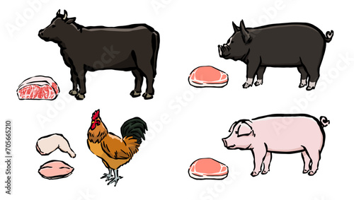 牛、豚、鳥のイラストセット　食肉用家畜と精肉のイラスト