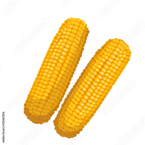 Corn cobs vector illustration. Cartoon isolated top view Corn cobs vector illustration. Cartoon isolated top view of yellow ripe sweetcorn with seeds to make organic maize flour and popcorn, farm gold