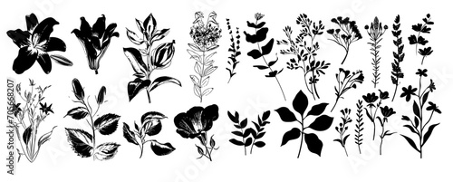 Set of floral elements for design. © Mark