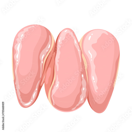 Chicken breasts vector illustration. Cartoon isolated raw three pieces of poultry fillet without bones and skin, three skinless breasts, portion of lean white meat for cooking healthy lunch or dinner