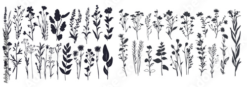 Hand drawn set of wild flowers silhouettes, branches, plants and herbs with leaves photo