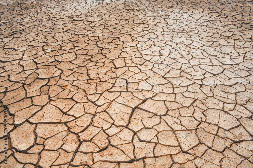 Beautiful background deserted tokirs on ground are cracked from drought, the bottom of the lake is exposed, the water has evaporated from the heat and climate change Beautiful background deserted tokirs on ground are cracked from drought, the bottom of the lake is exposed, the water has evaporated from the heat and climate change