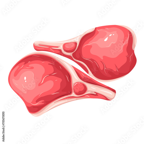 Raw meat steaks with bones vector illustration. Cartoon isolated top view of two prime beef pieces on ribs, marbled chops pile to roast and grill for BBQ party, fresh uncooked steak for cooking