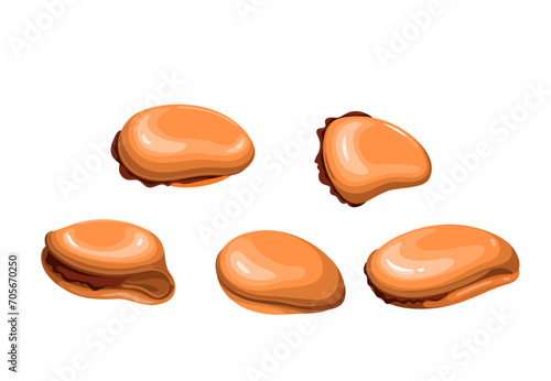 Mussels set vector illustration. Cartoon isolated top view of different fresh or steamed large mussels without shells, gourmet clam seafood, delicious starter and delicacy for buffet or dinner meal